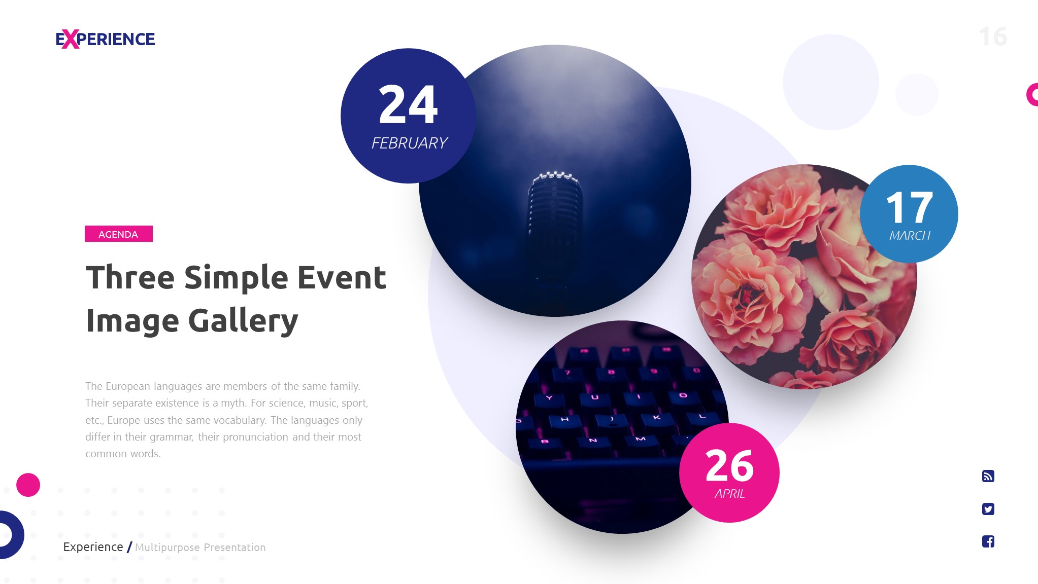 Experience Multipurpose Powerpoint Template Presentation Templates